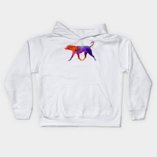 Transylvanian Hound in watercolor Kids Hoodie